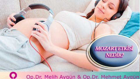 Bebeklerin Zekasını Geliştiren Müzik (Mozart Etkisi)