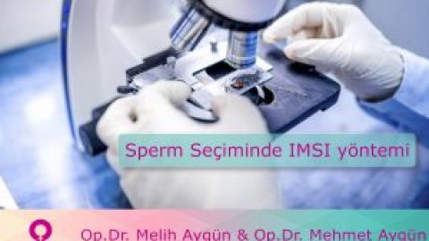 En İyi Sperm Seçme Yöntemi