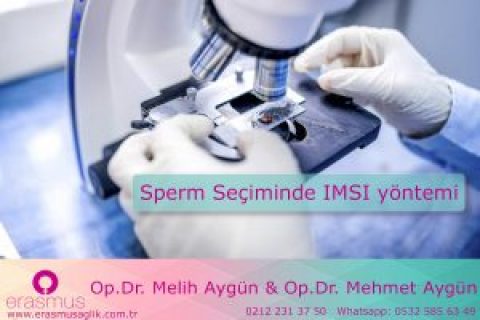 En İyi Sperm Seçme Yöntemi