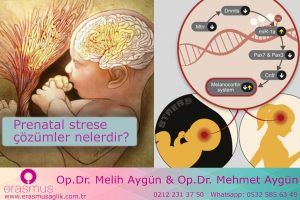 Prenatal(gebelik süresince) strese karşı çözümler nelerdir?