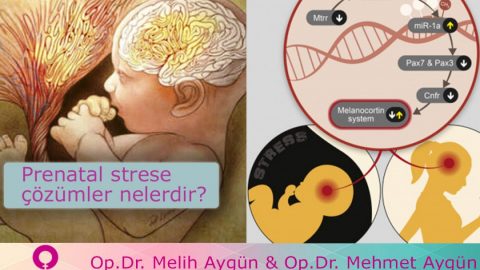 Prenatal(gebelik süresince) strese karşı çözümler nelerdir?