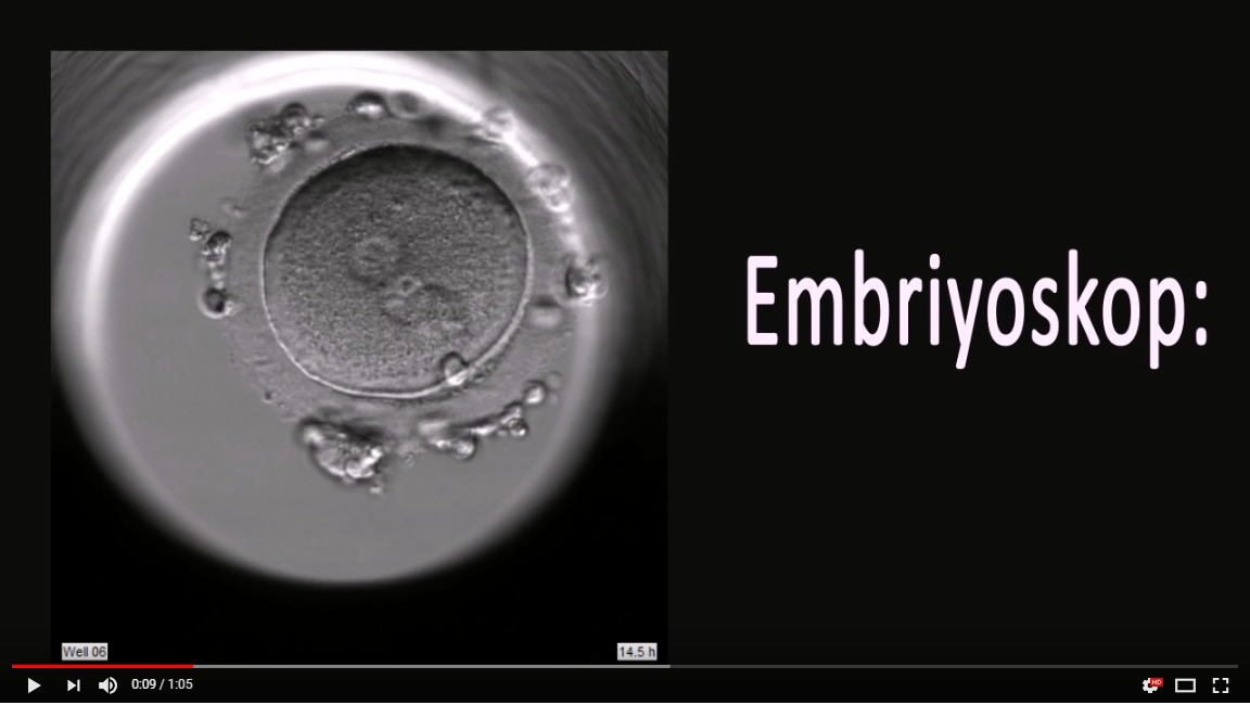 Embriyoskobun diğer inkubatorlerden farkı