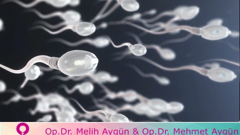 Gebe kalmaya çalışan çiftler için sperm kalitesi çalışmasının önemi