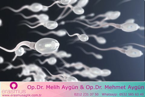 Gebe kalmaya çalışan çiftler için sperm kalitesi çalışmasının önemi